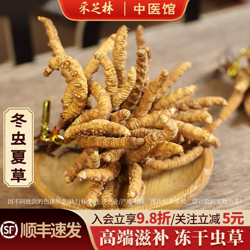采芝林冬虫夏草干货袋装散称冻干人工繁育送人可干嚼泡酒高端滋补