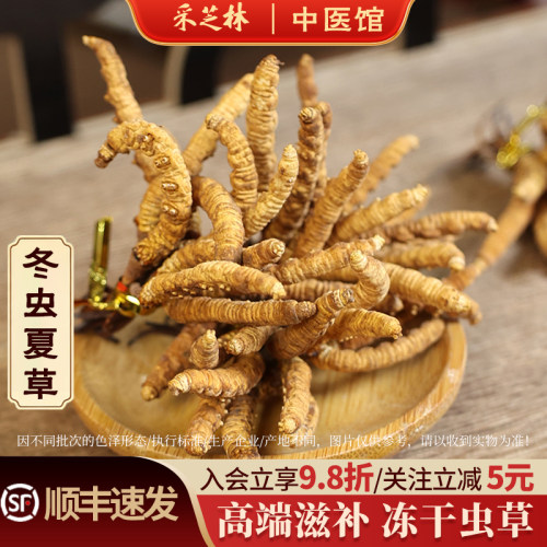 采芝林冬虫夏草干货袋装散称冻干人工繁育送人可干嚼泡酒高端滋补