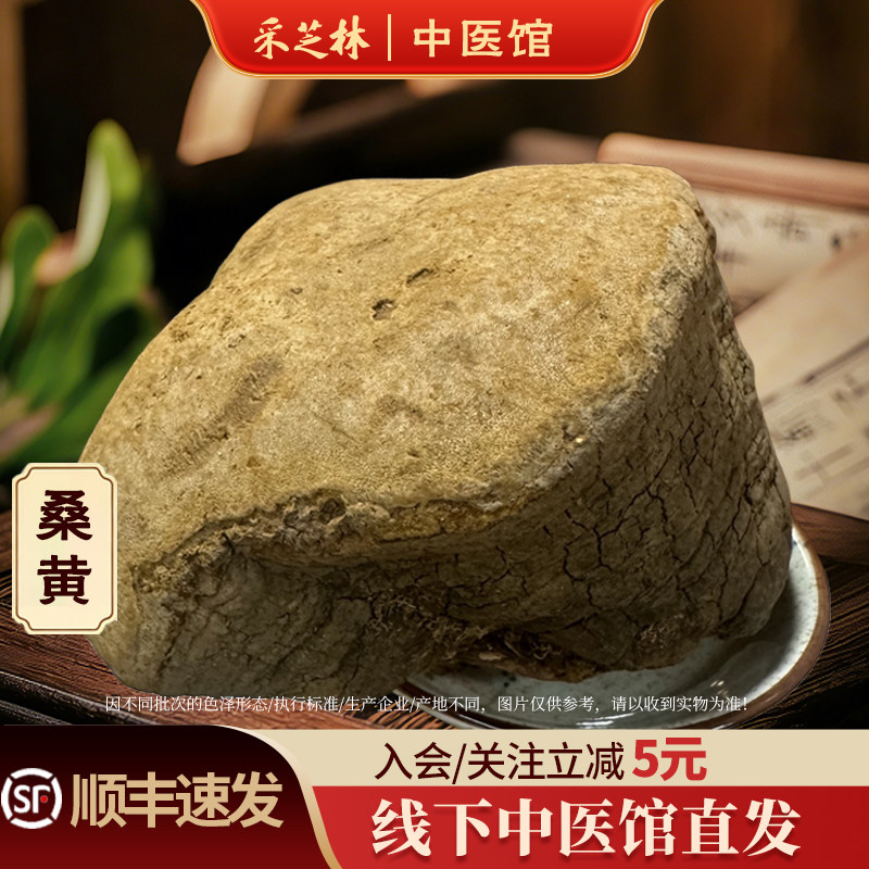 采芝林中医馆桑黄整个可切片泡水干货桑树大桑黄散称原色泡茶