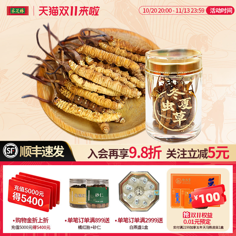 采芝林中医馆人工繁育冻干冬虫夏草干货泡茶煲汤滋补实惠装送礼节