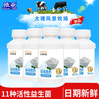 【日期新鲜】欧亚大理牧场低温原味酸奶250g*12瓶乳制品