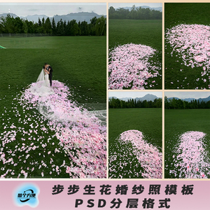 8款婚纱照樱花花瓣PSD模板