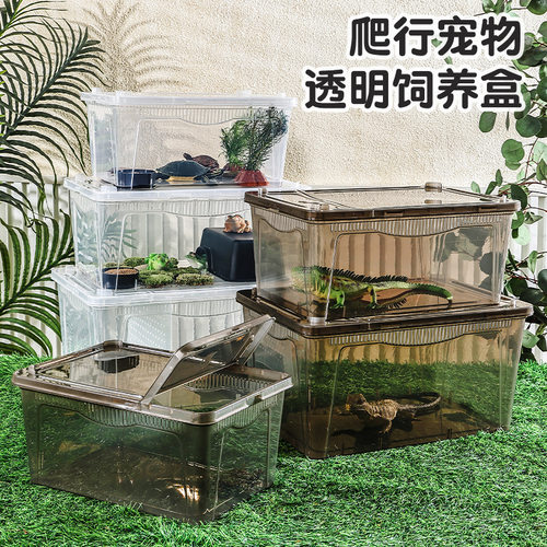 爬虫饲养盒爬宠饲养箱蜘蛛角蛙守宫盒蜥蜴宠物蛇蝎子昆虫食盆水盆