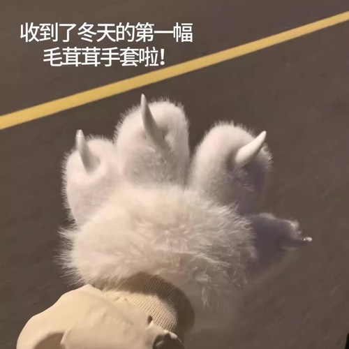 【毛茸茸的猫爪手套呀】喵喵叫保暖彩色猫爪手套漫展指甲毛绒加厚