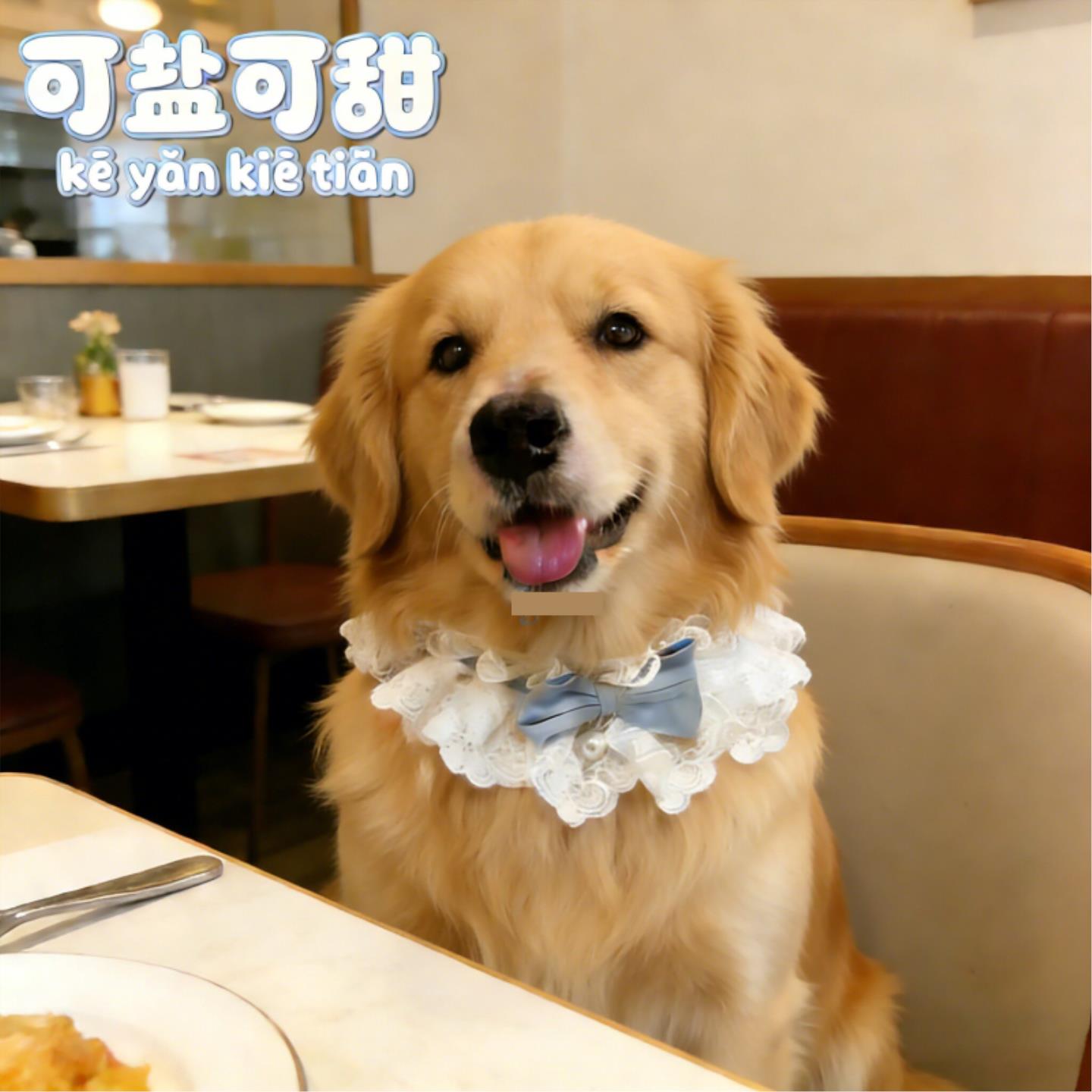 金毛专用狗狗新年围脖大型犬宠物围兜口水巾小狗过年围巾春节喜庆