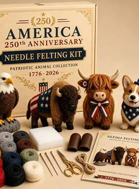 新品250th Needle Felting Kit羊毛戳戳乐针刺材料包DIY套装