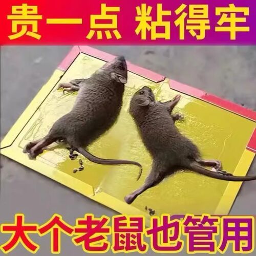 粘鼠板捕鼠神器粘大老鼠家用捕鼠夹厨房强力胶粘老鼠贴一锅端超强