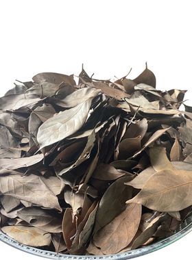 多穗石柯老叶木姜叶柯老叶芷江甜茶溆浦瑶茶广西原生态甜茶