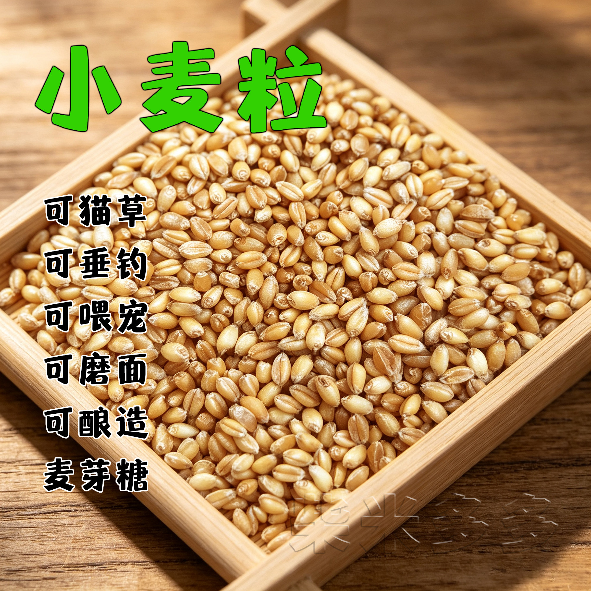 小麦粒猫草喂鸽鸡鸟食鱼饵饲料发芽麦芽糖酿酒醋榨汁药引带皮麦子
