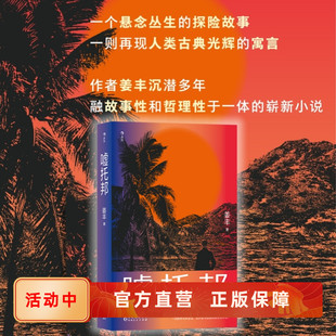新書現貨 靈韻之光 后浪正版 速發 再現古典藝術 哲理性冒險故事當代小說書籍 漫游者姜豐 云霧中 噓托邦 跨文體寫作創作