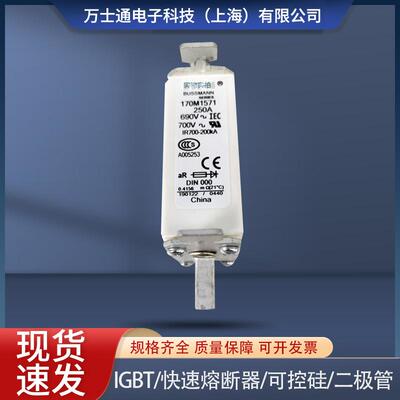 170M1568170M1569170M1570170M1571170M1572全新熔断器保险丝