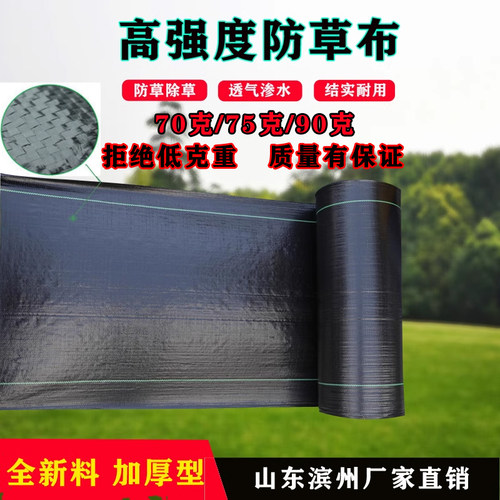 PE全新料防草布抗老化除草布加厚耐用地布地膜地钉盖草布打孔透水