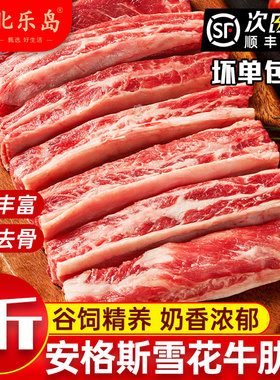 牛肉新鲜谷饲安格斯雪花牛肋条肉烧烤肉食材进口牛腩生鲜商用冷冻