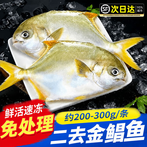 二去金鲳鱼新货鲜冷冻