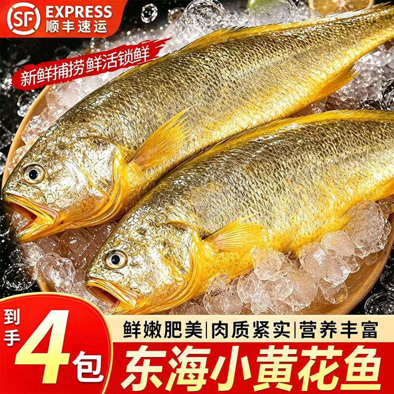 东海小黄花鱼新货鲜冻冷冻烧烤专用冰鲜野生深海鲜活黄鱼整箱商用