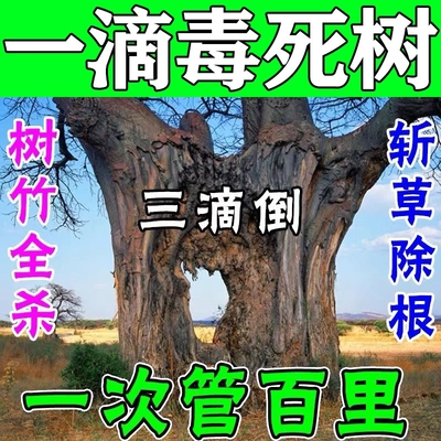 烂根除大树专用强力腐树根大树烂根强力枯树王一滴死大树神器药M
