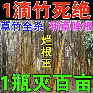 灭竹子的药竹根连根烂强力去竹粉清竹子灌木腐蚀竹根树竹草根绝