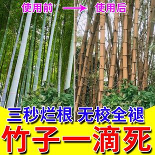 灭竹子的药竹根连根烂强力去竹粉清竹子灌木腐蚀竹根树竹草根绝