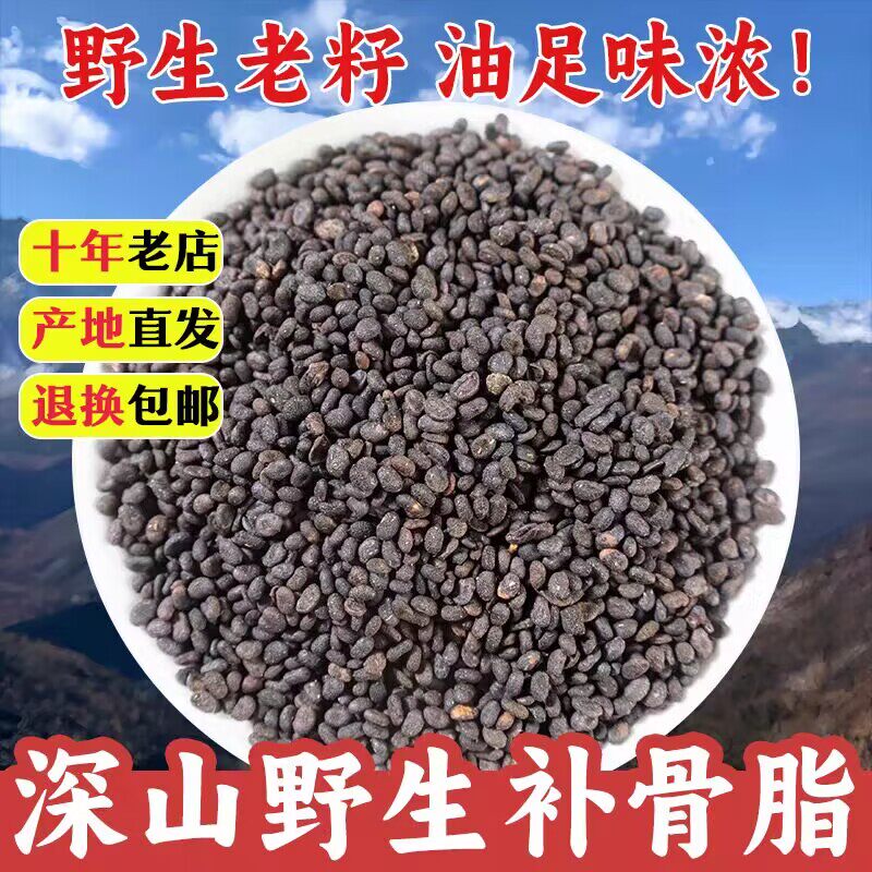 野生补骨脂中药材黑故胡韭子破故纸婆固脂无硫盐炒补骨脂包邮500g
