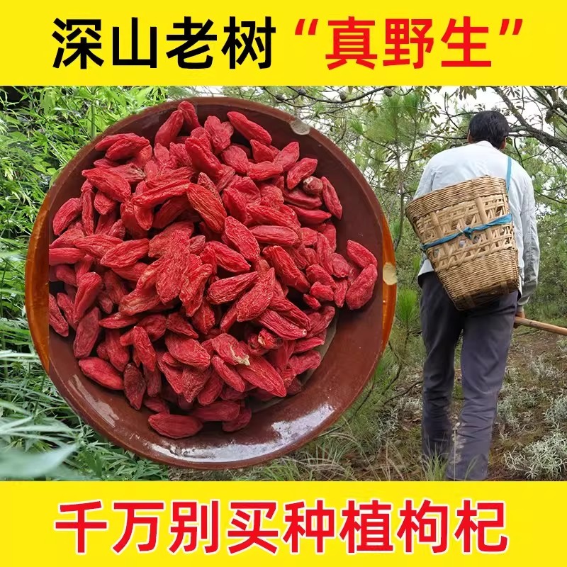 正品宁夏野生老枸杞子500g正宗中宁枸记红特级干苟构佝杞免洗无硫