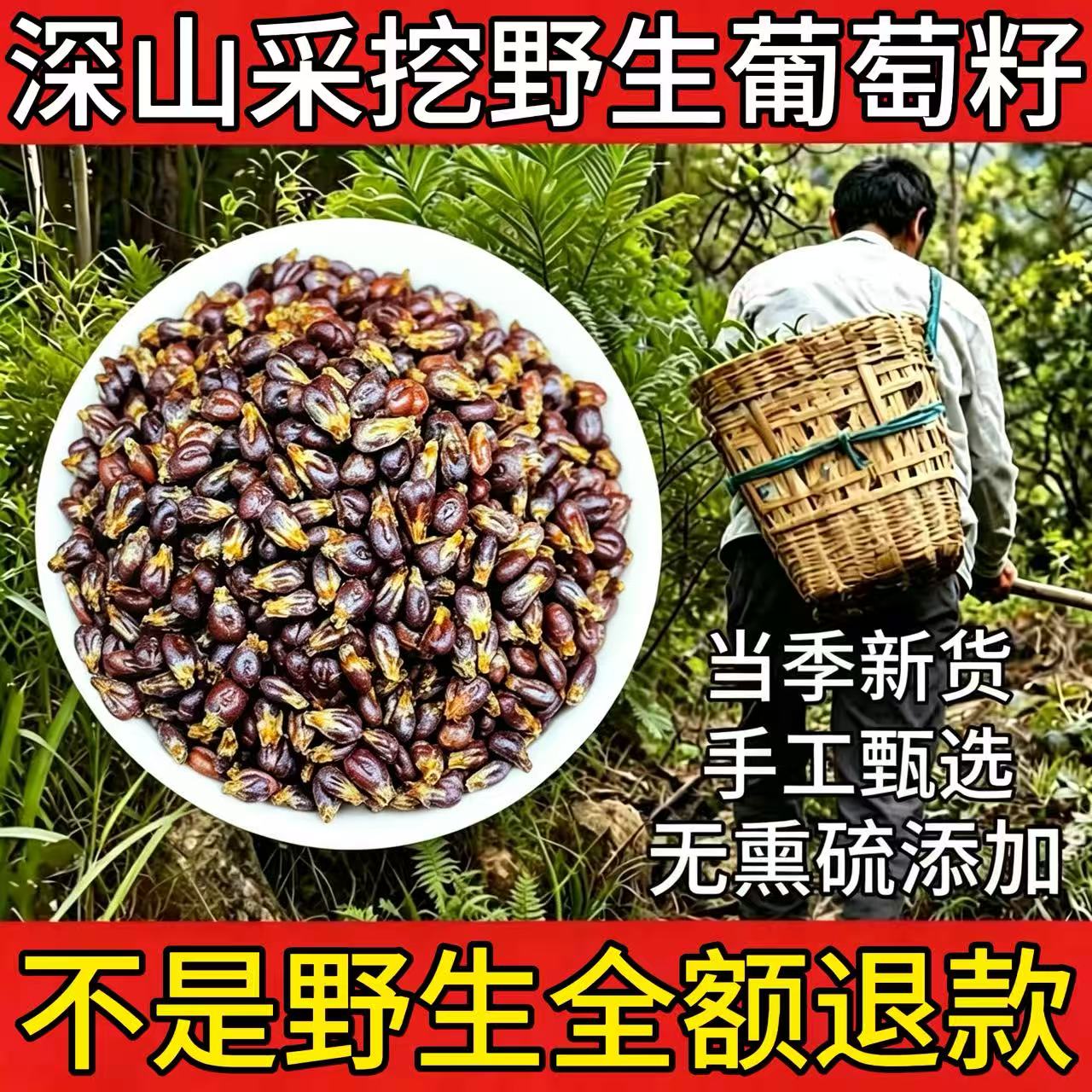 新疆野生葡萄籽中药材正品新鲜干货葡萄种葡萄子葡萄籽粉葡萄干子