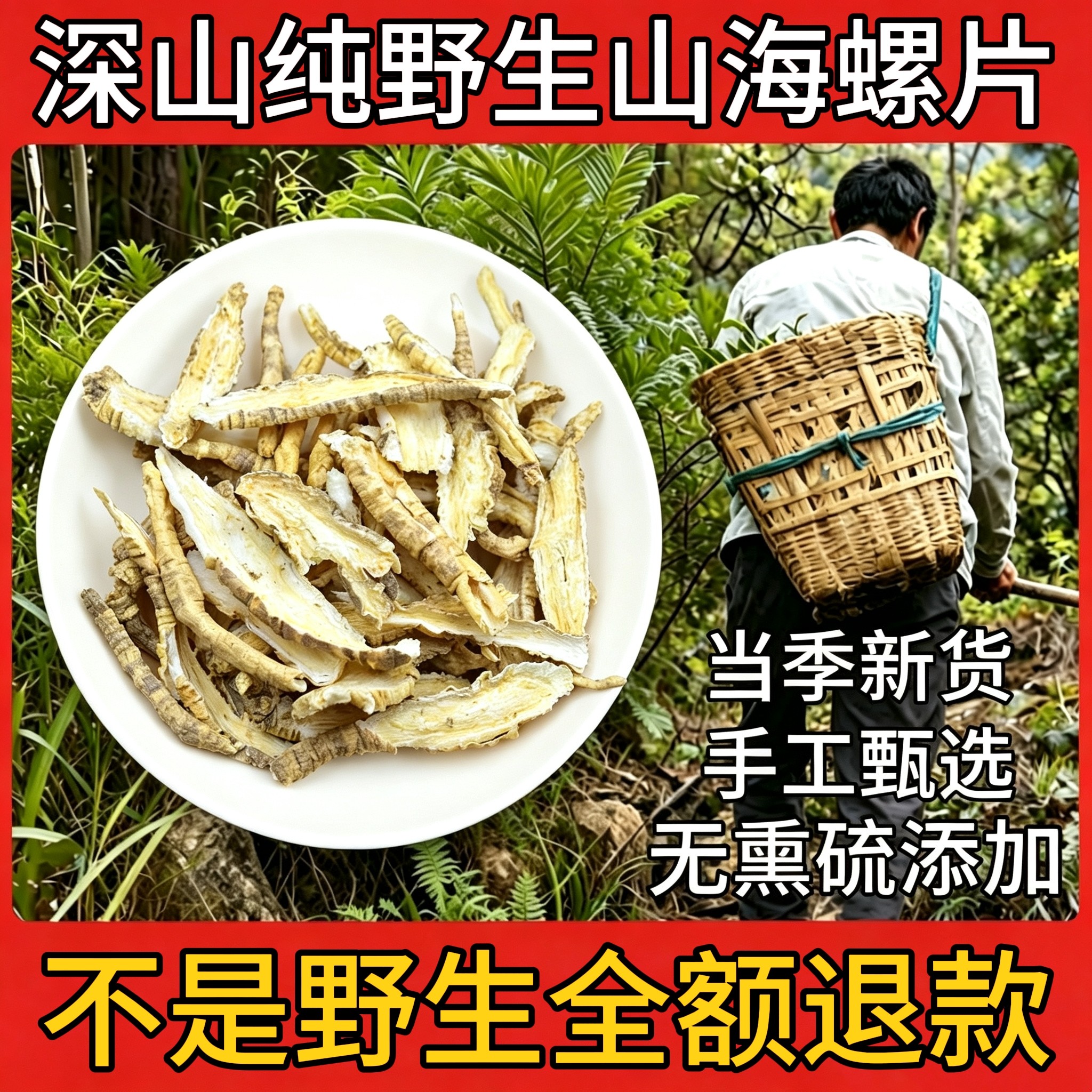 野生山海螺中药材四叶参牛奶参通乳草羊乳参根白河车土党参狗头参