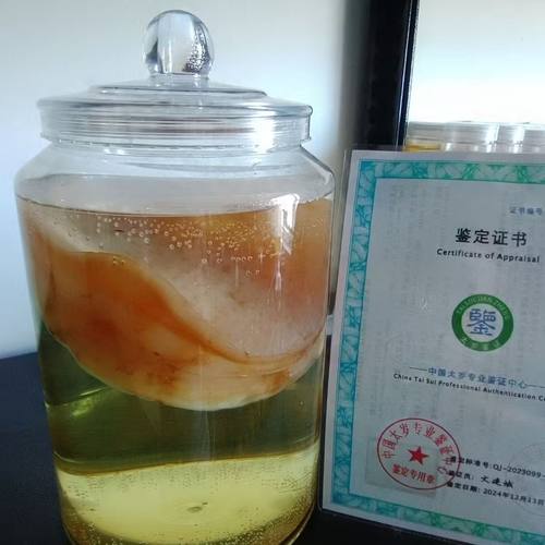 高浓度高活性太岁水营养液