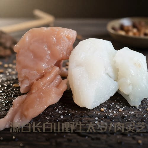 长白山肉灵芝太岁纯天然遇水即活