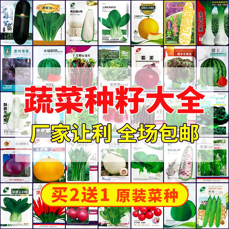 四季蔬菜种子西红柿辣椒豆角种籽油菜豆角甜瓜玉米萝卜葱