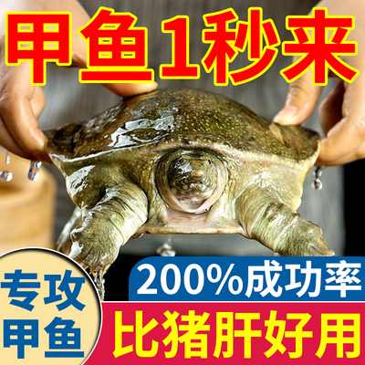 甲鱼小药饵料诱饵诱聚剂野钓甲鱼钩钓老鳖专用诱食剂水鱼窝料药水