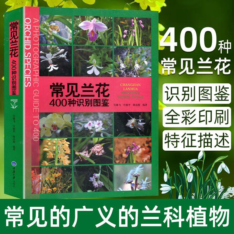 正版现货 常见兰花400种鉴别图鉴 兰花的基础知识 兰花的形态特征 兰花的分类 兰花种类介绍 自然科普书 重庆大学出版社