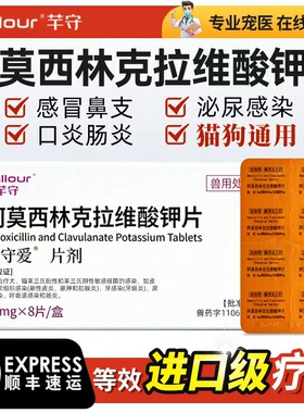 阿莫西林克拉维酸钾片猫狗消炎药宠物用猫咪狗狗感冒鼻支速泌诺尿