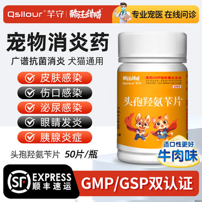 头孢羟氨苄片宠物伤口消炎感冒药