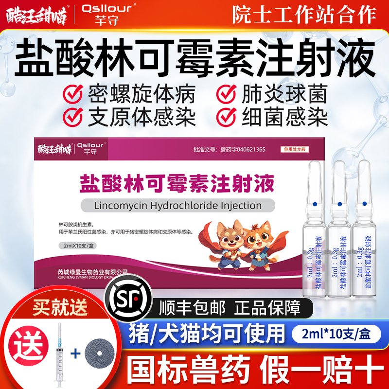 盐酸林可霉素注射液宠物用猫咪狗狗消炎药针鼻支感冒药咳嗽雾化液