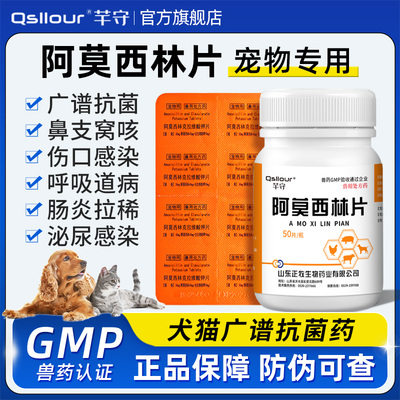 阿莫西林宠物阿莫西林克拉维酸钾猫用片狗狗专用消炎药咳嗽感冒药