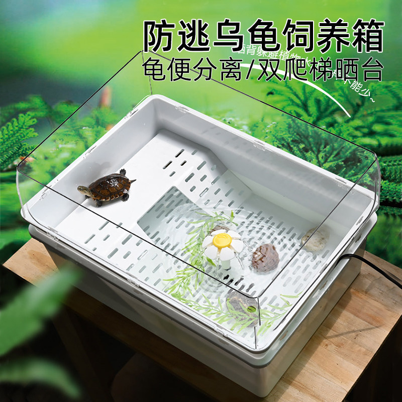 防逃乌龟饲养箱龟便分离图片