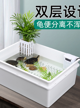 乌龟生态造景缸小青龟双层龟便分离养龟隔离发色饲养缸龟苗专用盒