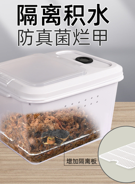 黄缘龟专用冬眠箱乌龟过冬保温智利水苔保湿温度监控带隔板防真茵