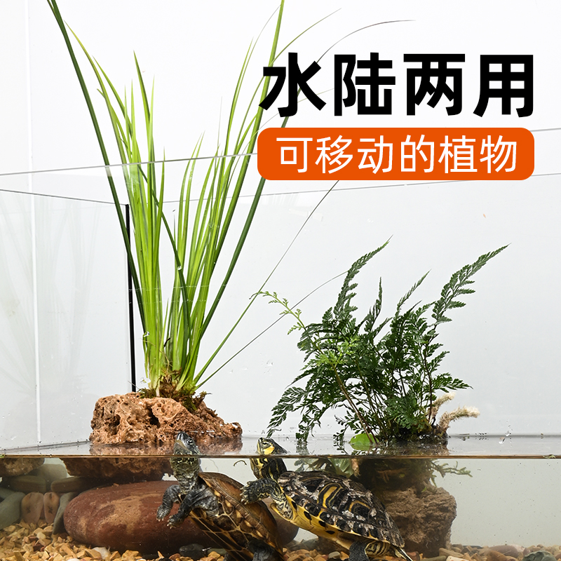 乌龟缸专用生态植物造景吸水石保湿底座绿植水培石菖蒲养龟水草