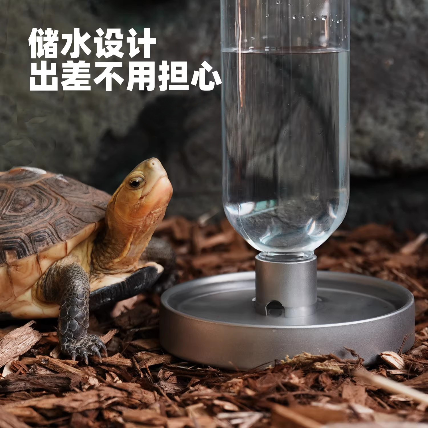 乌龟水盆304不锈钢喂水盘自动补水黄缘龟储水加湿饮水器爬宠专用,宠物/宠物食品及用品,爬宠饮水器/水盆,淘宝优惠券,粉丝福利购,淘宝优惠卷