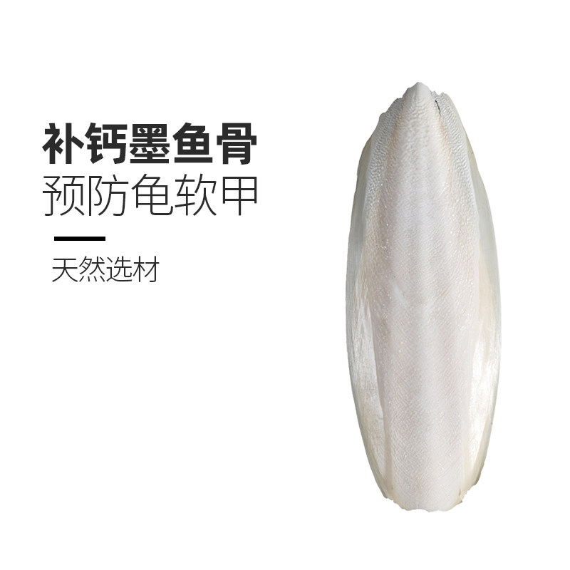乌龟用品墨鱼骨陆龟巴西乌龟爬虫补钙饲料磨牙D3钙粉鹦鹉鸟用品