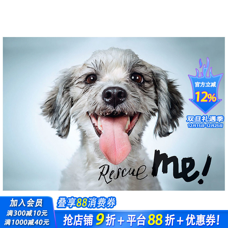 【现货】英文原版 拯救我：纽约的狗狗收养肖像和故事 Rescue Me: Dog Adoption Portraits and Stories from New York City