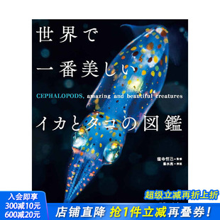 世界美丽乌贼与章鱼图鉴 世界で一番美しいイカとタコ 进口书籍 现货 善优图书 日本正版 日文原版 日文艺术画册 図鑑