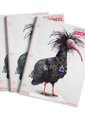 订阅 Lurzer's Int'l ARCHIVE广告档案 广告设计平面设计杂志 美国英文原版 年订6期 B138 年订6期