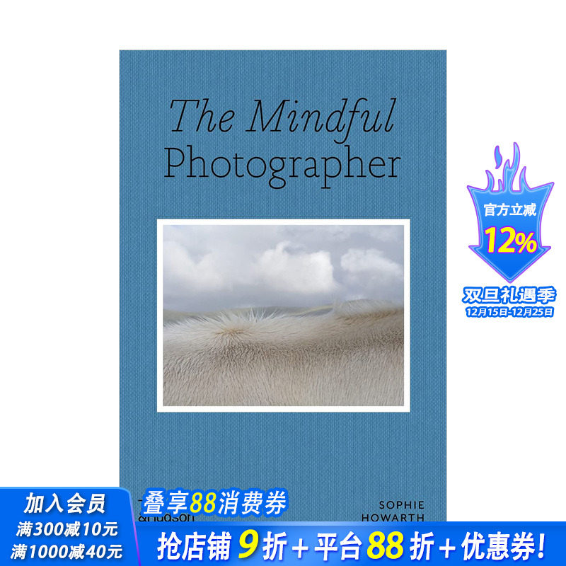 【现货】心灵摄影师 The Mindful Photographer 英文艺术 摄影集 原版图书