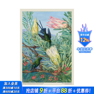 【现货】1000块拼图:英国皇家植物园的玛丽安·诺斯:蜜花和金蜜花 Kew Gardens' Marianne North进口创意艺术文创节日送礼