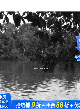 【预售】达沃德·贝：挽歌 Dawoud Bey: Elegy 原版英文摄影 正版进口书