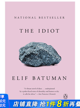 【预售】The Idiot，白痴 普利策奖入围 英文原版小说