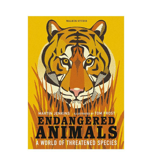 【现货】濒危动物 Endangered Animals 英文儿童插画科普绘本 进口童书
