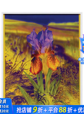 【预售】丽莎·奥本海姆：永恒的替代 Lisa Oppenheim The Eternal Substitute 原版英文艺术画册画集 正版进口书